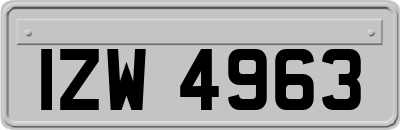 IZW4963