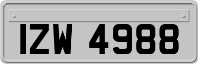 IZW4988