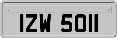 IZW5011