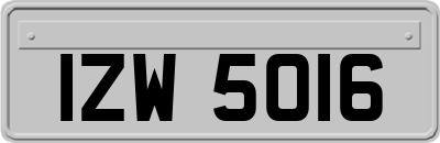 IZW5016