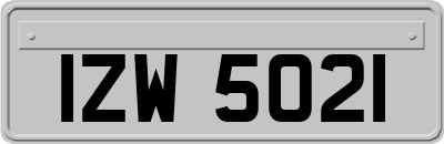 IZW5021