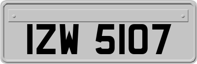 IZW5107