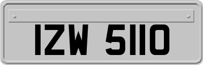 IZW5110