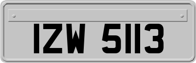 IZW5113