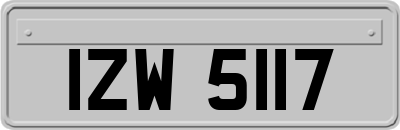 IZW5117