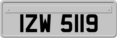 IZW5119