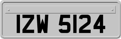 IZW5124