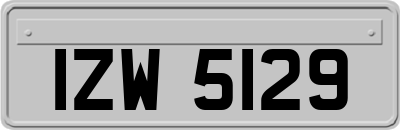 IZW5129