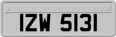 IZW5131