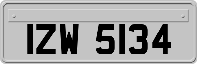 IZW5134