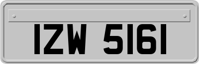 IZW5161