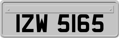 IZW5165