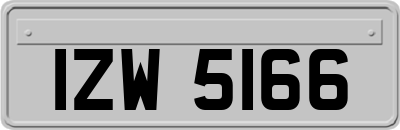 IZW5166
