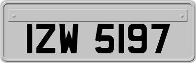IZW5197