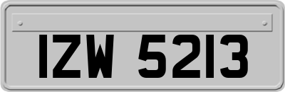 IZW5213