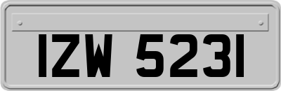 IZW5231