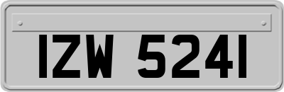 IZW5241