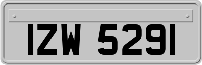 IZW5291