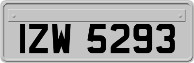 IZW5293