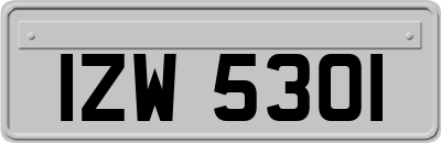 IZW5301