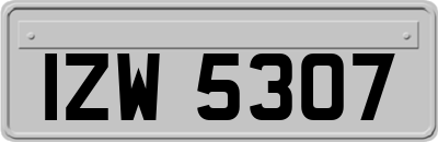 IZW5307