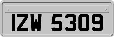 IZW5309