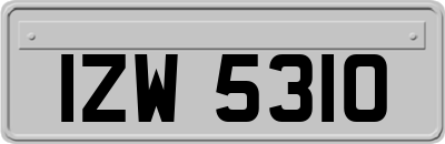 IZW5310