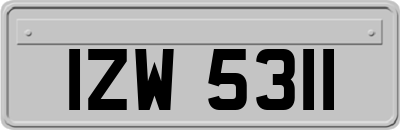 IZW5311