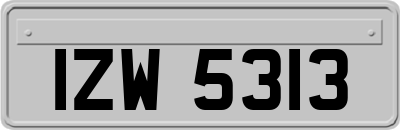 IZW5313