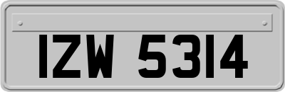 IZW5314