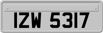 IZW5317