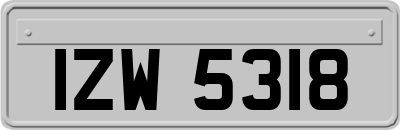 IZW5318