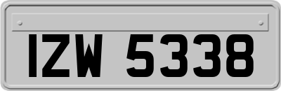 IZW5338