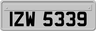 IZW5339