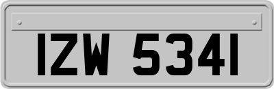 IZW5341
