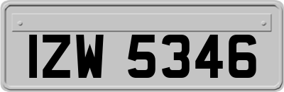 IZW5346