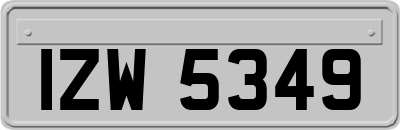 IZW5349