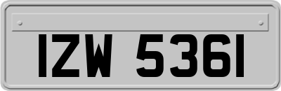 IZW5361