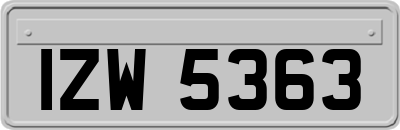 IZW5363