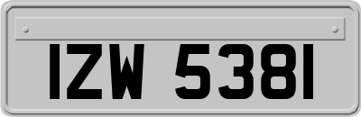 IZW5381