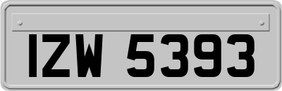IZW5393