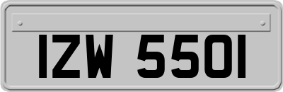 IZW5501