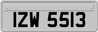 IZW5513