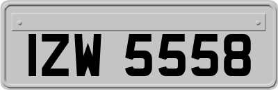 IZW5558