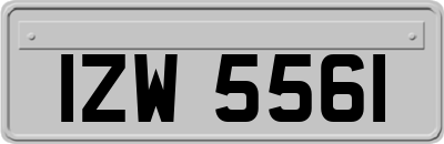 IZW5561
