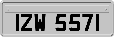 IZW5571