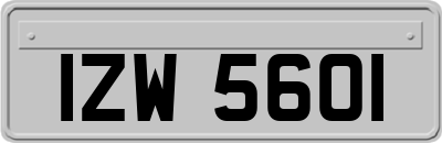 IZW5601