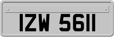 IZW5611