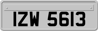 IZW5613