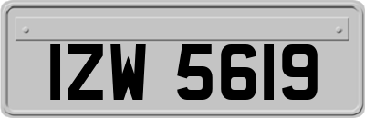 IZW5619